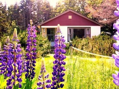 Goodview Cottages By Stanhope Beach Pei For Adults Only Buitenkant foto