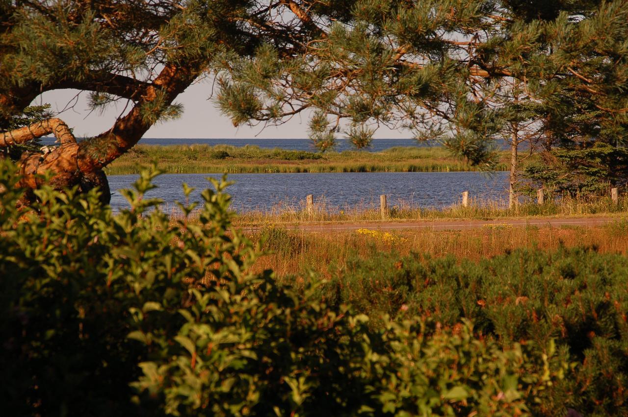 Goodview Cottages By Stanhope Beach Pei For Adults Only Buitenkant foto